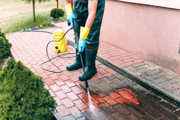 Best Driveway Pressure Washing  in Phillipsburg, NJ